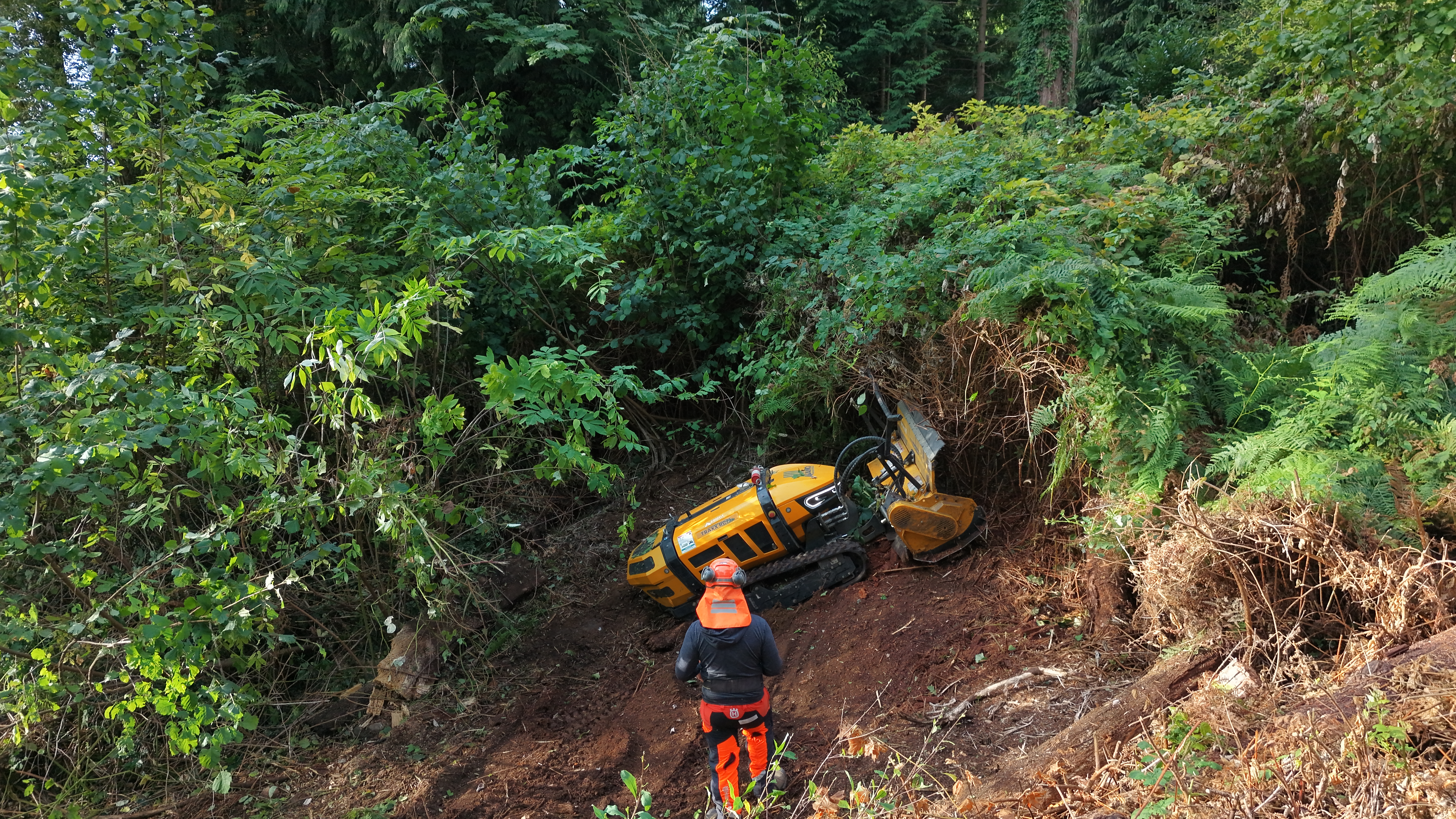 Apex Terrain work in Coquitlam